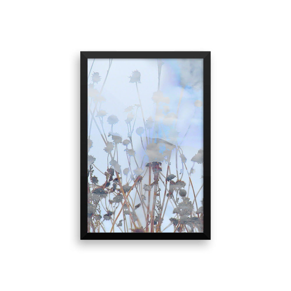 Sunflower Skies Framed Print