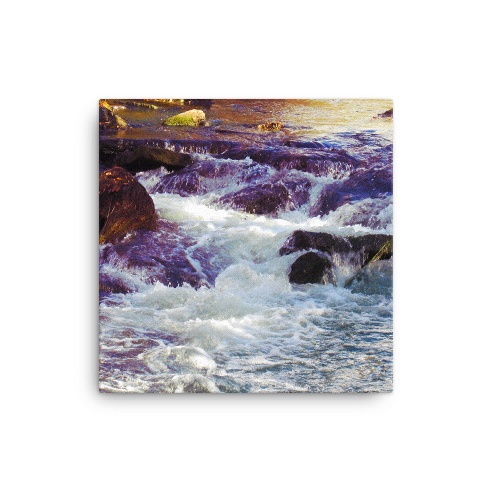 Rainbow River Canvas