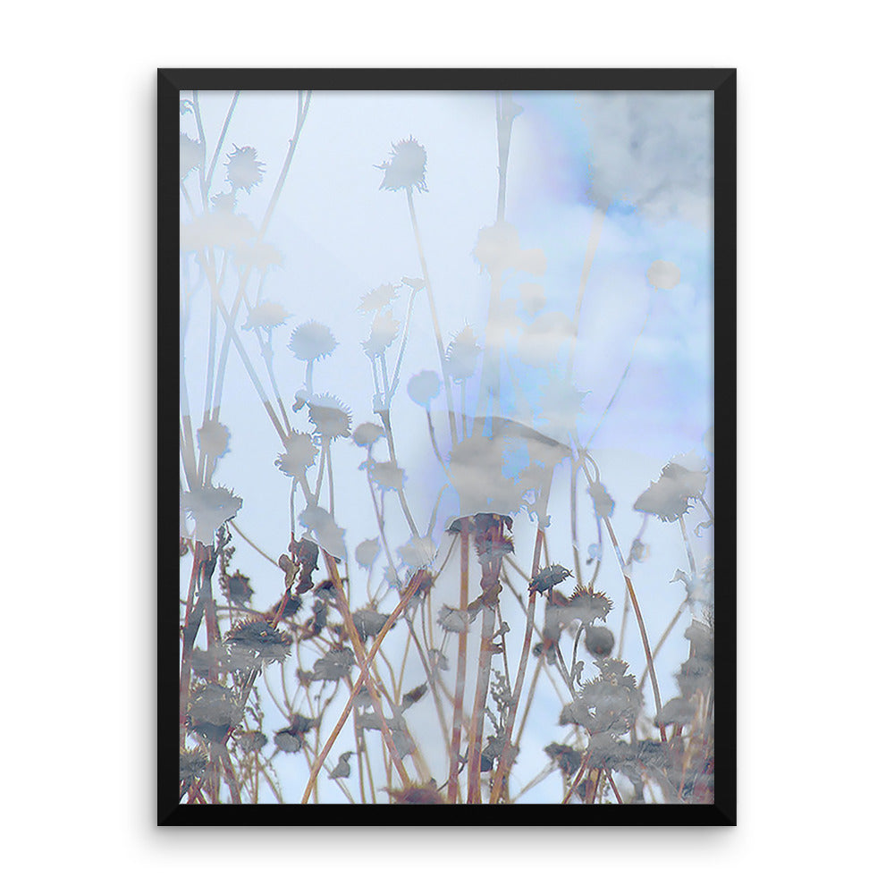 Sunflower Skies Framed Print