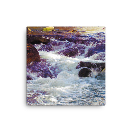 Rainbow River Canvas