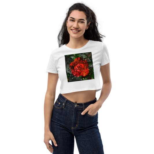 Secret Organic Crop Top